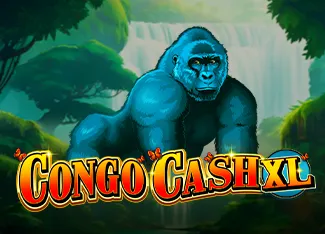 Congo Cash XL - GECKO158