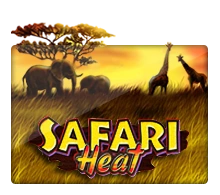 Joker123 : Safari Heat - GECKO158