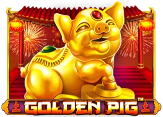 Golden Pig - GECKO158