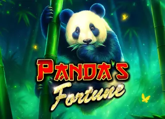 Pandas Fortune - GECKO158