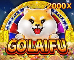 GoLaiFu - GECKO158