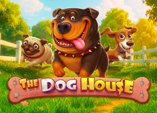 The Dog House - GECKO158
